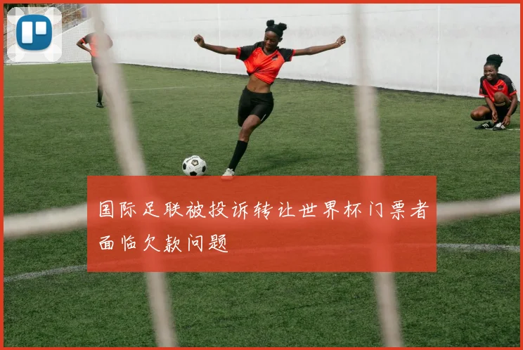 国际足联被投诉转让世界杯门票者面临欠款问题