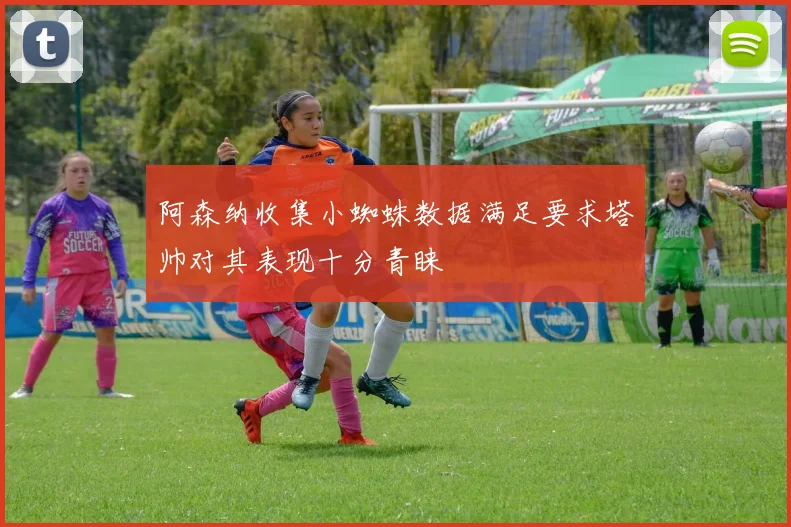 阿森纳收集小蜘蛛数据满足要求塔帅对其表现十分青睐