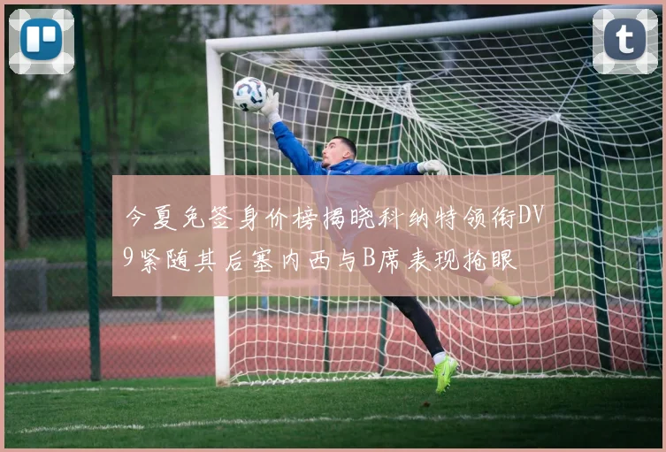 今夏免签身价榜揭晓科纳特领衔DV9紧随其后塞内西与B席表现抢眼