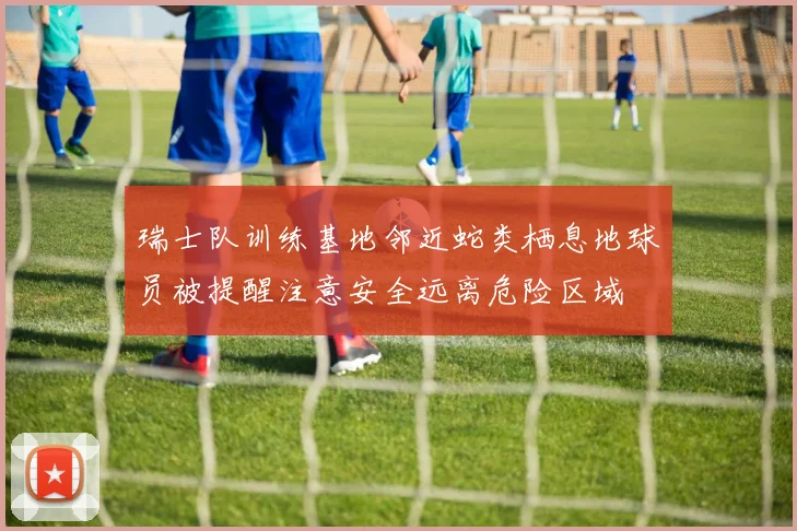 瑞士队训练基地邻近蛇类栖息地球员被提醒注意安全远离危险区域